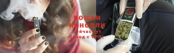 крисы Армянск