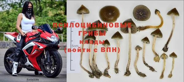 бошки Арсеньев