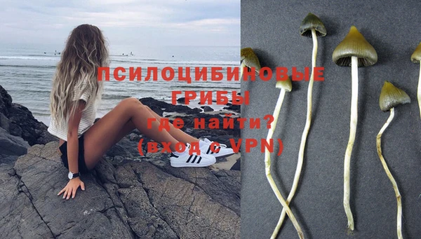 бошки Арсеньев